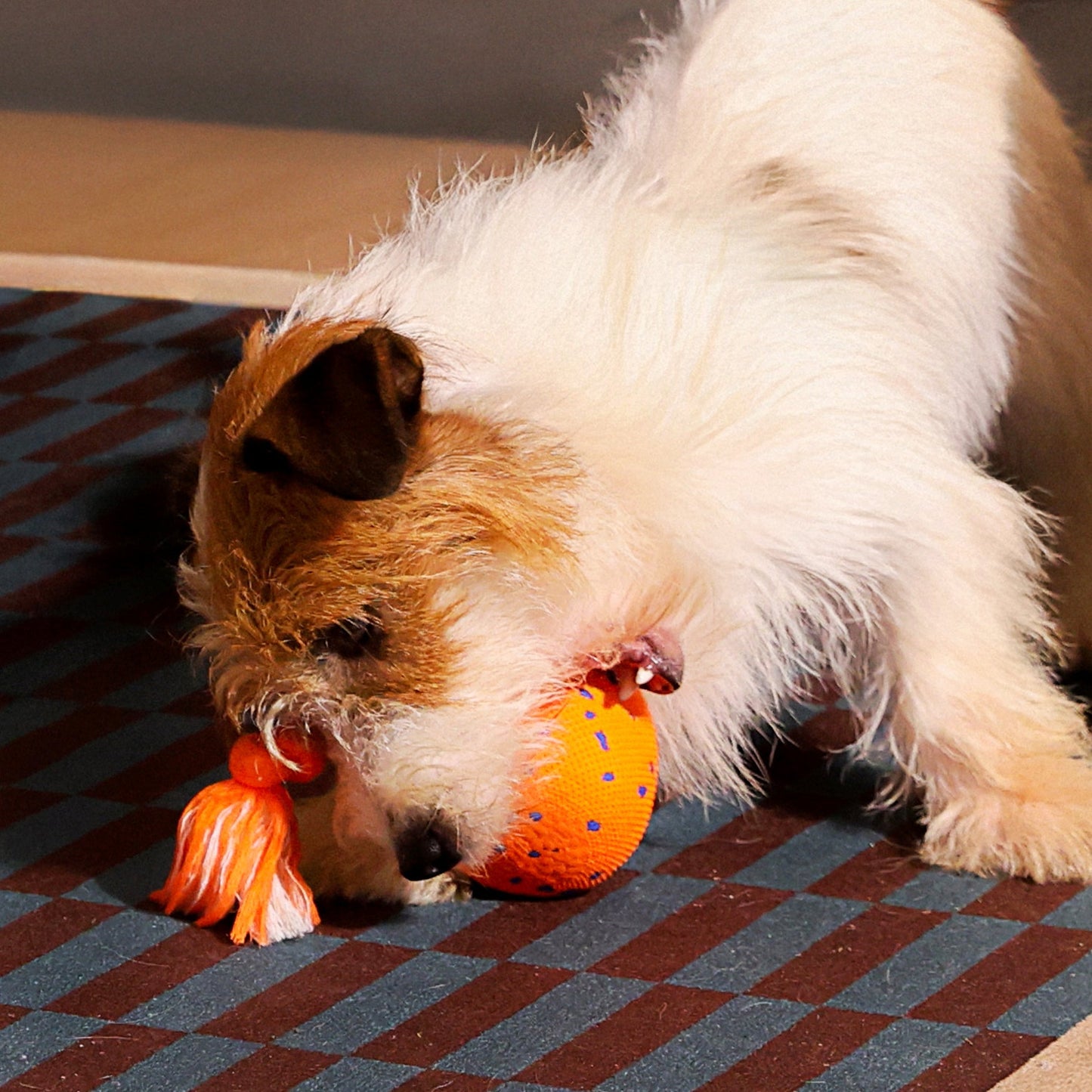 🔥2026 New Release - 50% OFF - RolloPaw™ Interactive Pet Toy Ball: Automatic Self-Moving Dog Toy for Boredom & Mental Stimulation 🐾 Quiet & Gentle on Teeth ✨